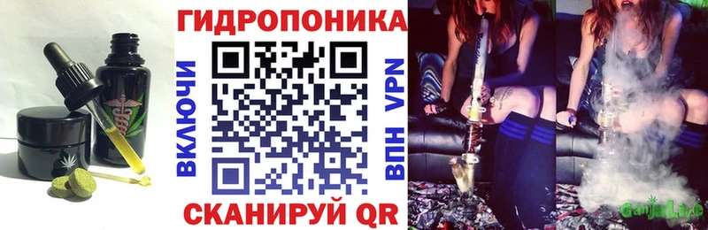 Cannafood конопля  как найти наркотики  Королёв 