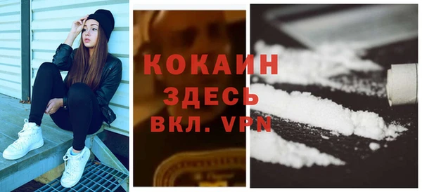 кокс Вяземский