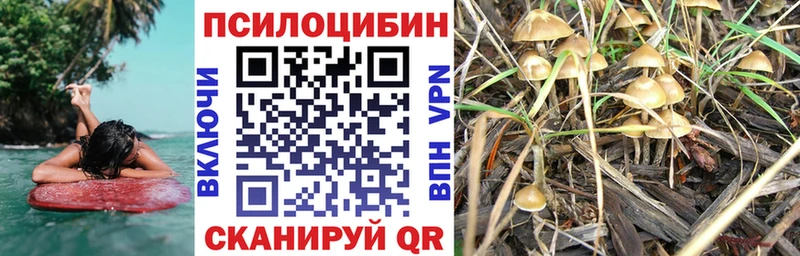 Галлюциногенные грибы прущие грибы  Королёв 